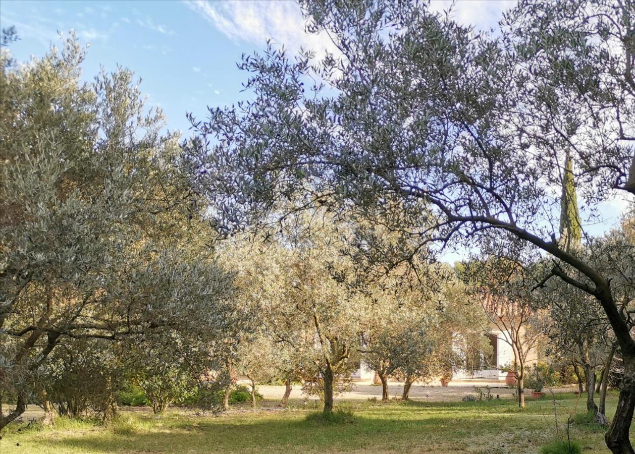 Mas Des Oursons - Chambres D'Hotes Arles Zewnętrze zdjęcie